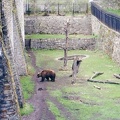 castlebear